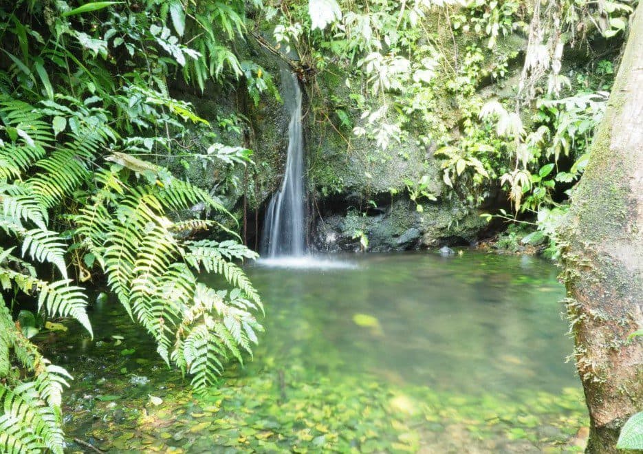 waterfall image